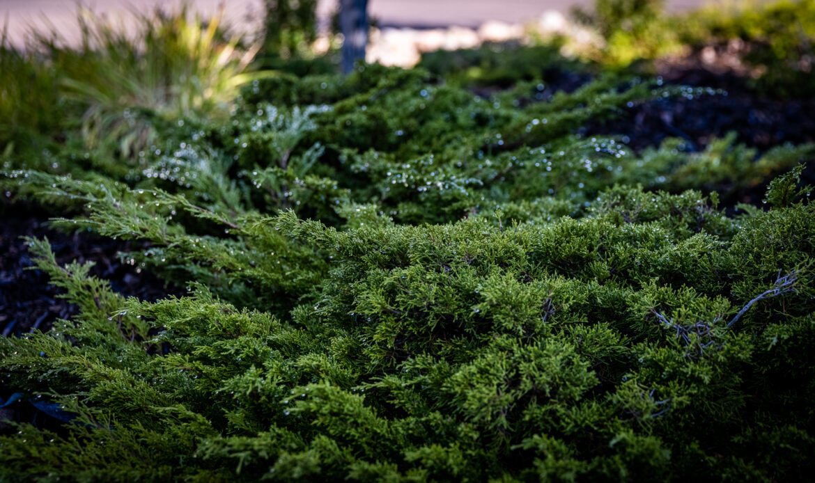 StokoeJ_210914_8264_
