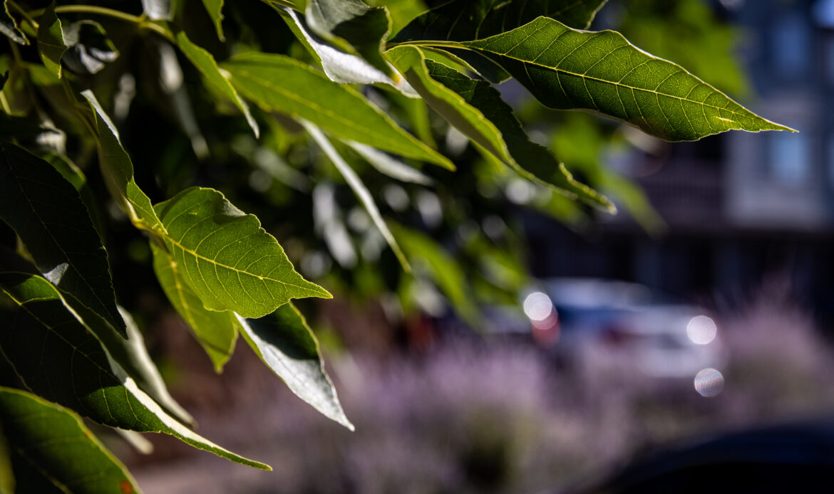 StokoeJ_210914_8297_